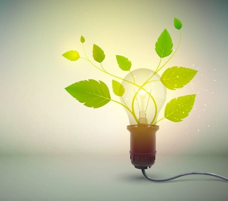 A light bulb with green leaves growing from it